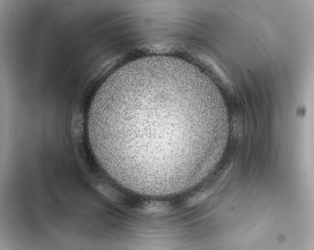 X0000102360549200808151815