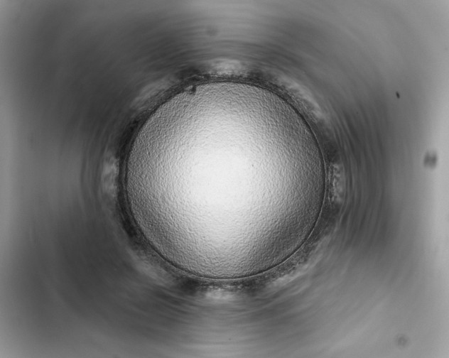 X0000102360550200808151815