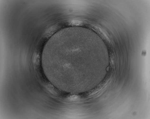 X0000102360551200808151815