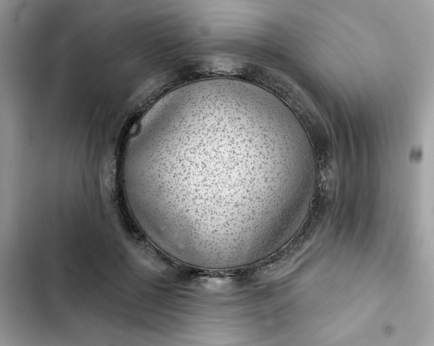 X0000102360552200808151815