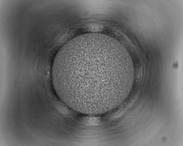 X0000102360553200808151815