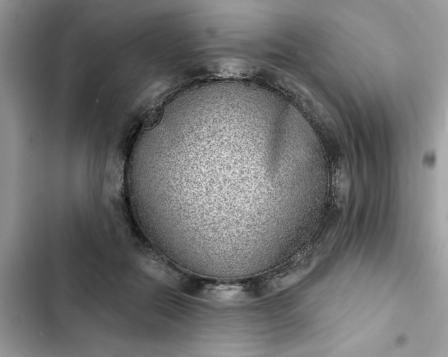 X0000102360554200808151815