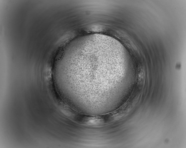 X0000102360555200808151815