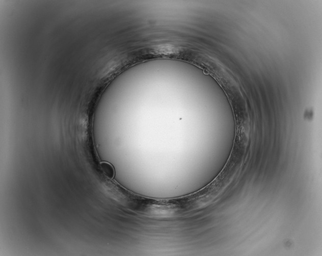 X0000102360556200808151815