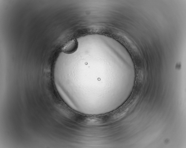 X0000102360557200808151815