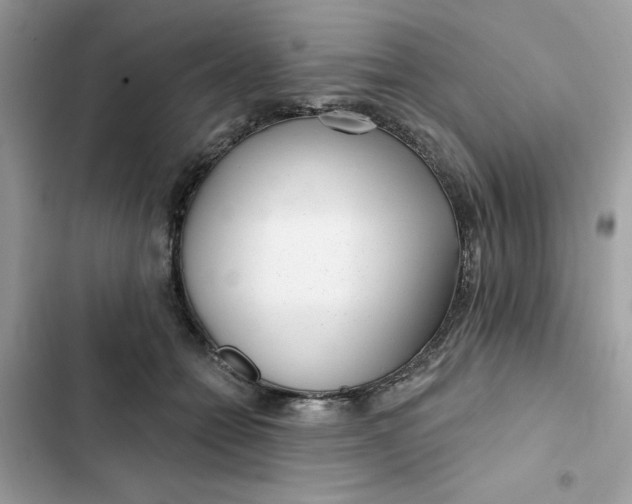 X0000102360558200808151815