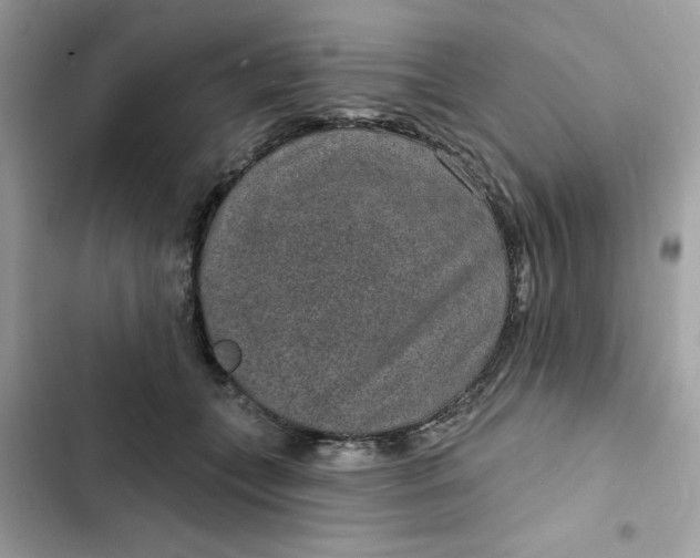 X0000102360559200808151815