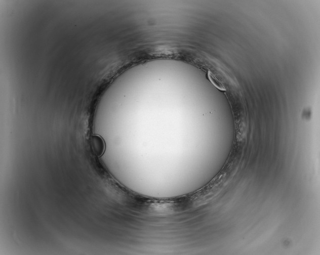 X0000102360560200808151815