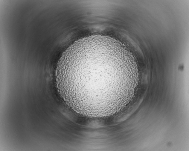 X0000102360561200808151815