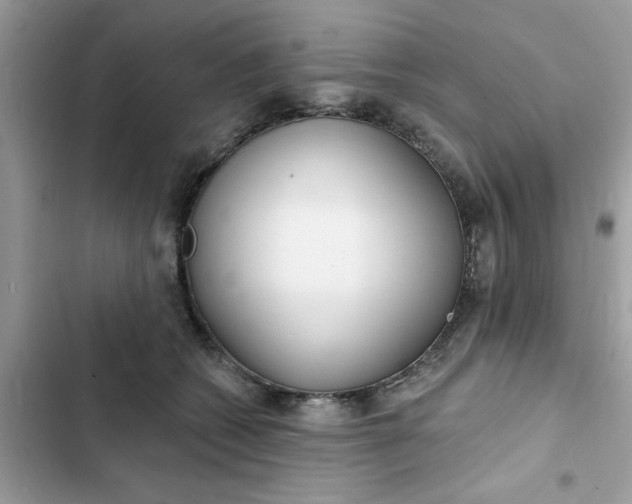 X0000102360562200808151815