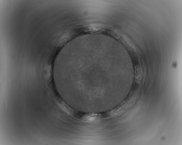 X0000102360563200808151815