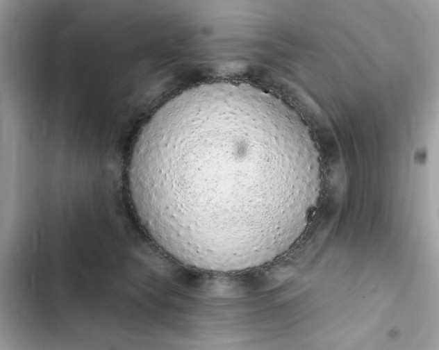 X0000102360565200808151815