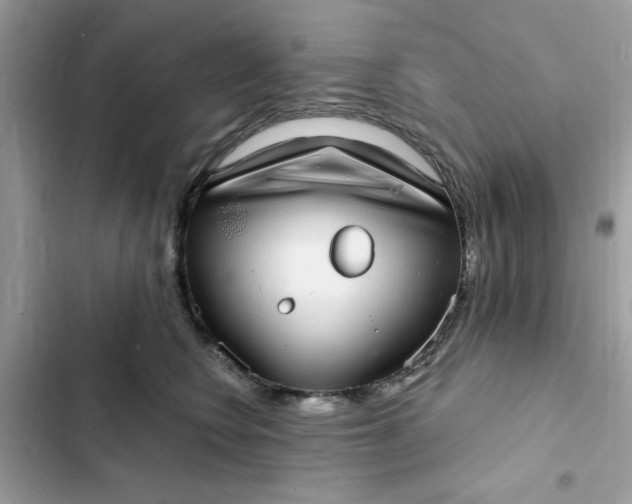 X0000102360566200808151815