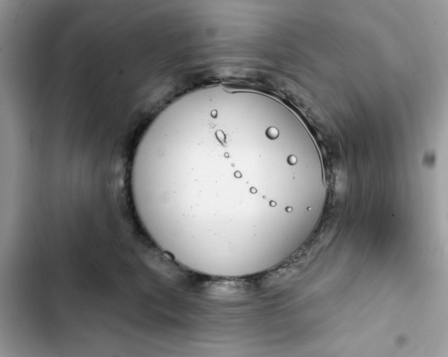 X0000102360567200808151815