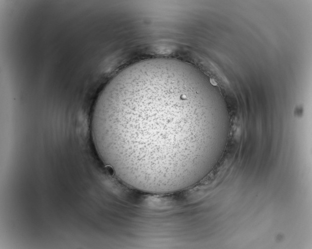 X0000102360568200808151815