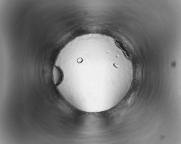 X0000102360569200808151815