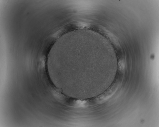 X0000102360570200808151815