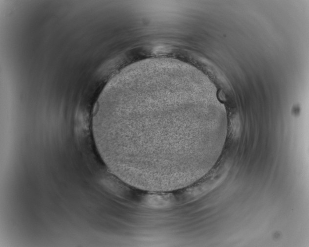 X0000102360571200808151815