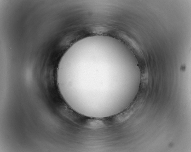 X0000102360572200808151815