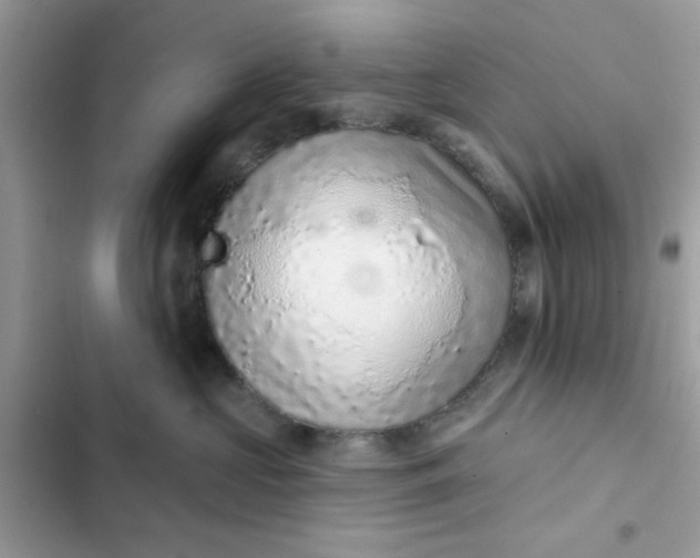 X0000102360573200808151815