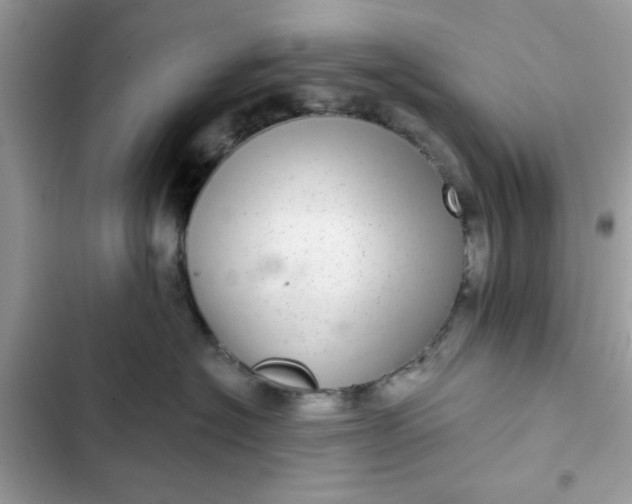 X0000102360574200808151815