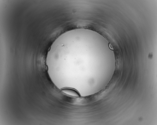 X0000102360575200808151815