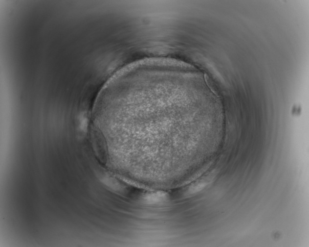 X0000102360576200808151815