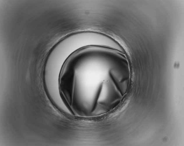 X0000102360577200808151815