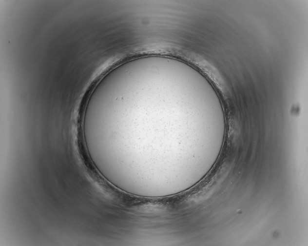 X0000102360578200808151815