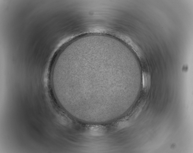 X0000102360579200808151815