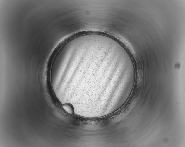 X0000102360580200808151815