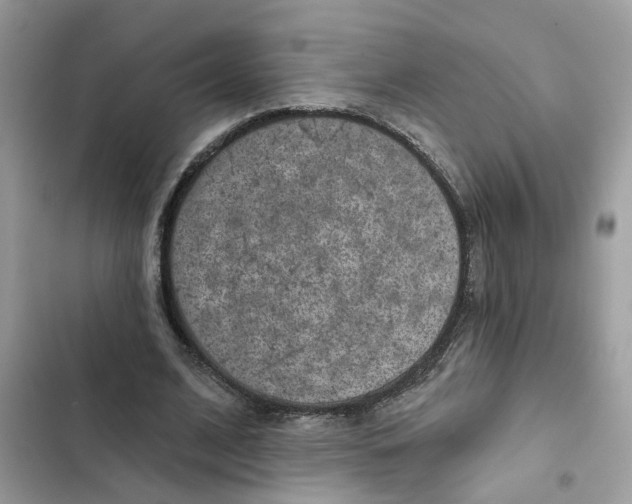 X0000102360584200808151815