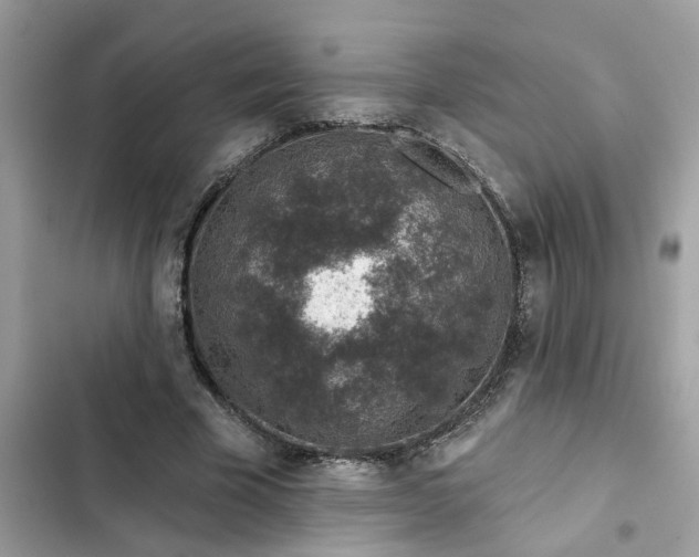 X0000102360585200808151815