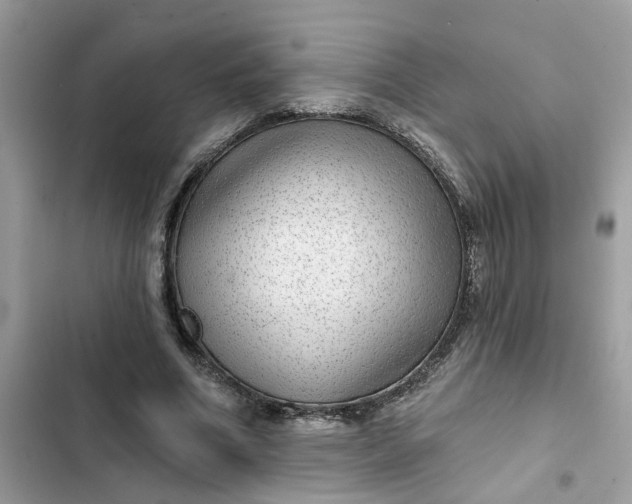 X0000102360586200808151815