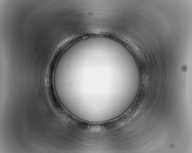 X0000102360587200808151815