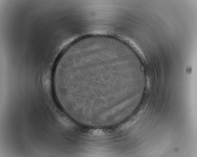 X0000102360588200808151815