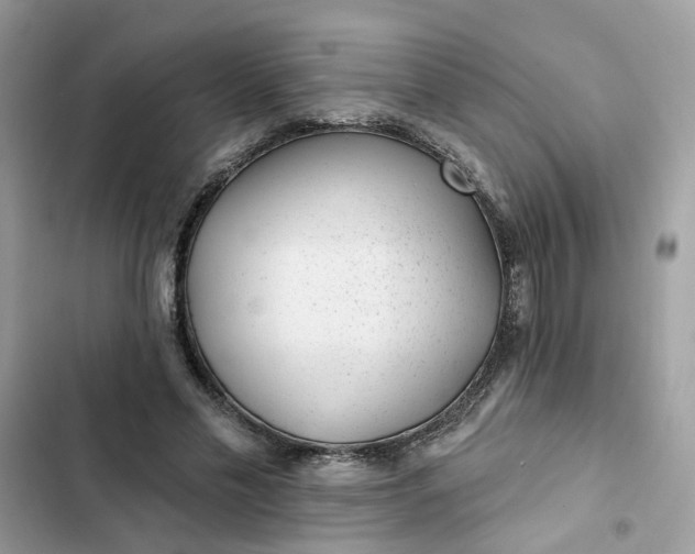 X0000102360589200808151815