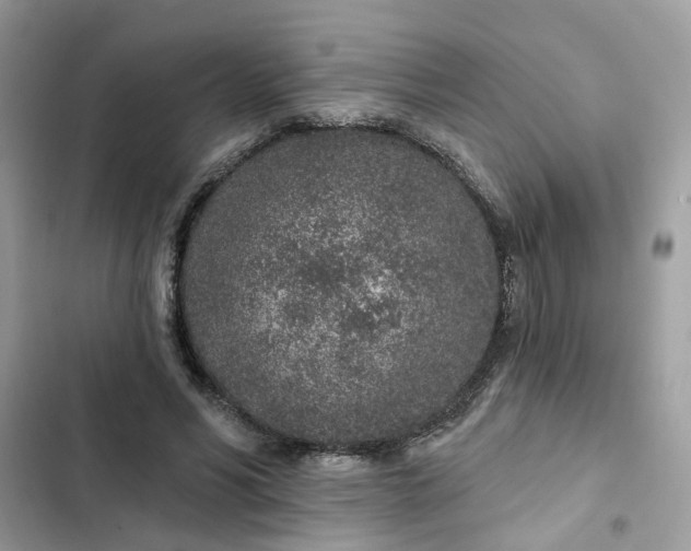 X0000102360590200808151814