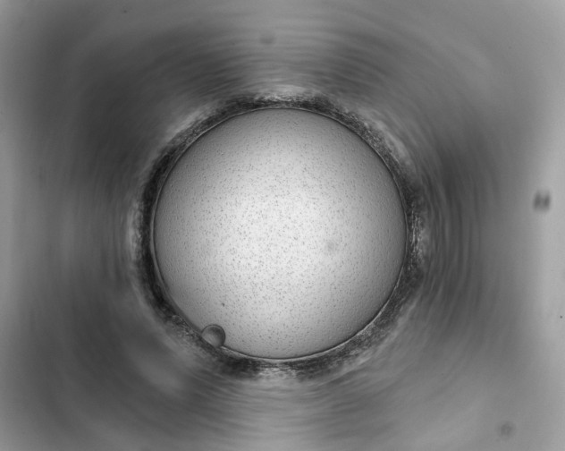 X0000102360591200808151814