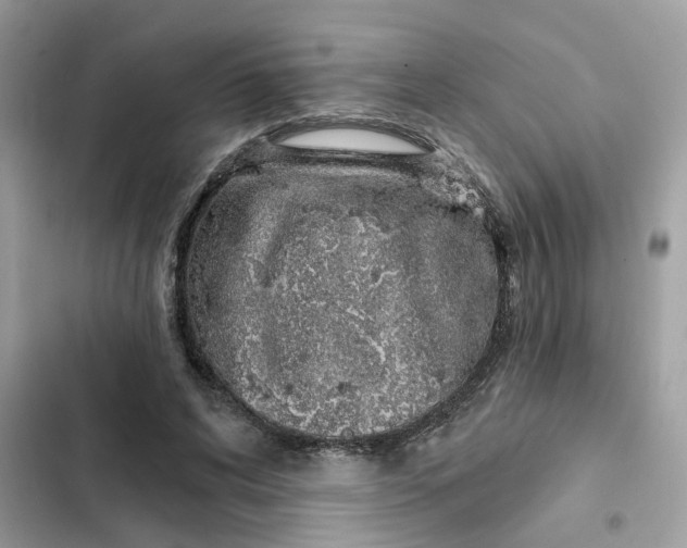 X0000102360592200808151814