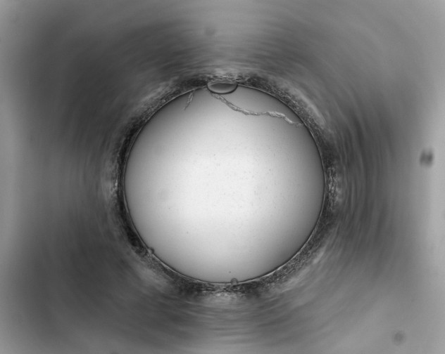 X0000102360593200808151814