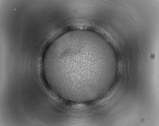 X0000102360594200808151814