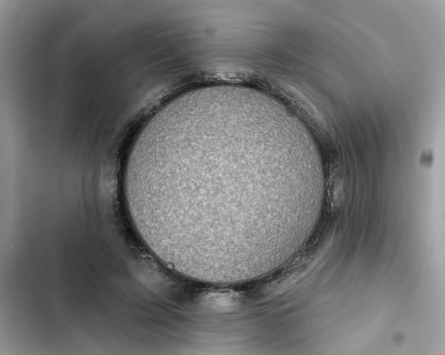 X0000102360595200808151814