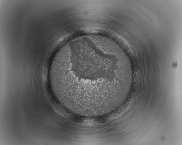 X0000102360596200808151814