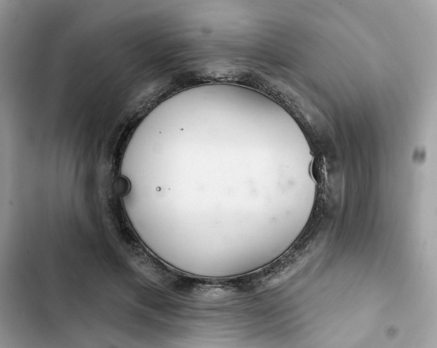 X0000102360597200808151814