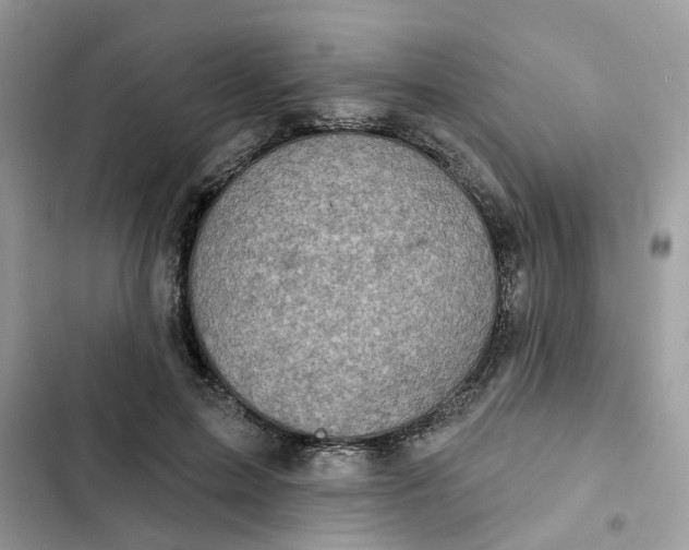 X0000102360599200808151814