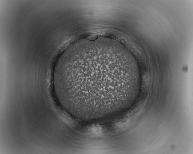 X0000102360600200808151814