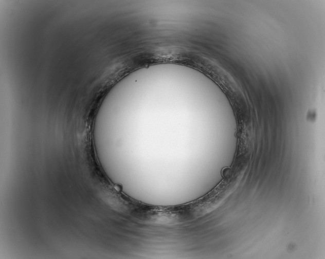 X0000102360601200808151814