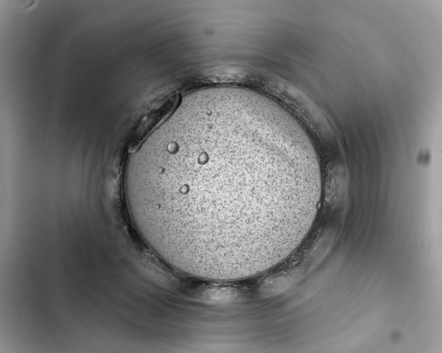 X0000102360604200808151814