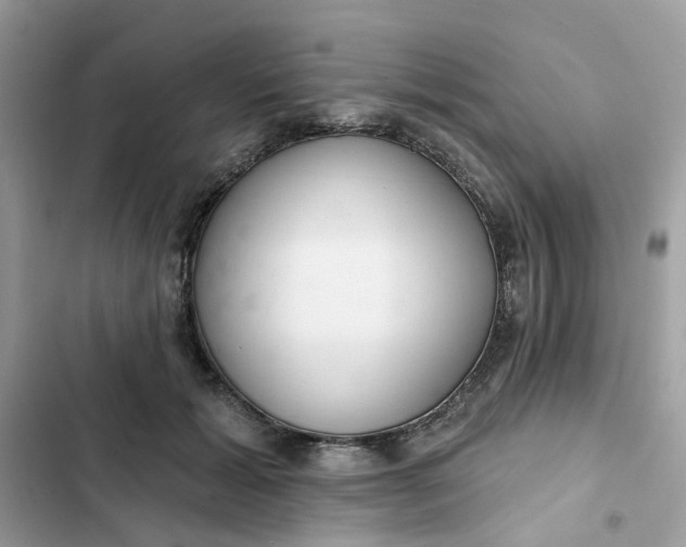 X0000102360605200808151814